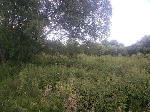 Mowbray Fields Local Nature Reserve photo